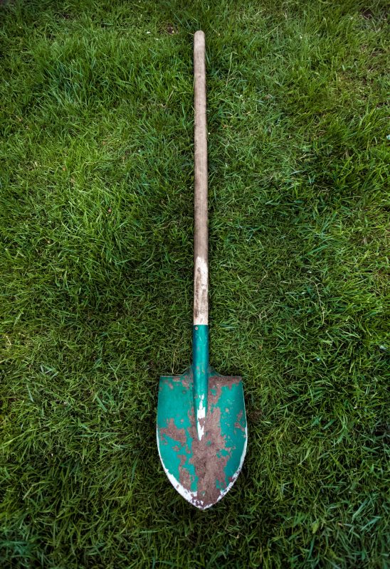metal green shovel with wooden handle on grass lawn