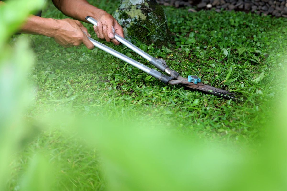 Blurred green shadow surround gardener.jpg