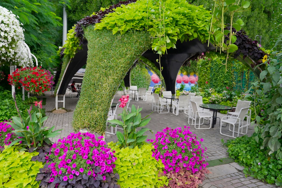 a garden filled with lots of different types of flowers