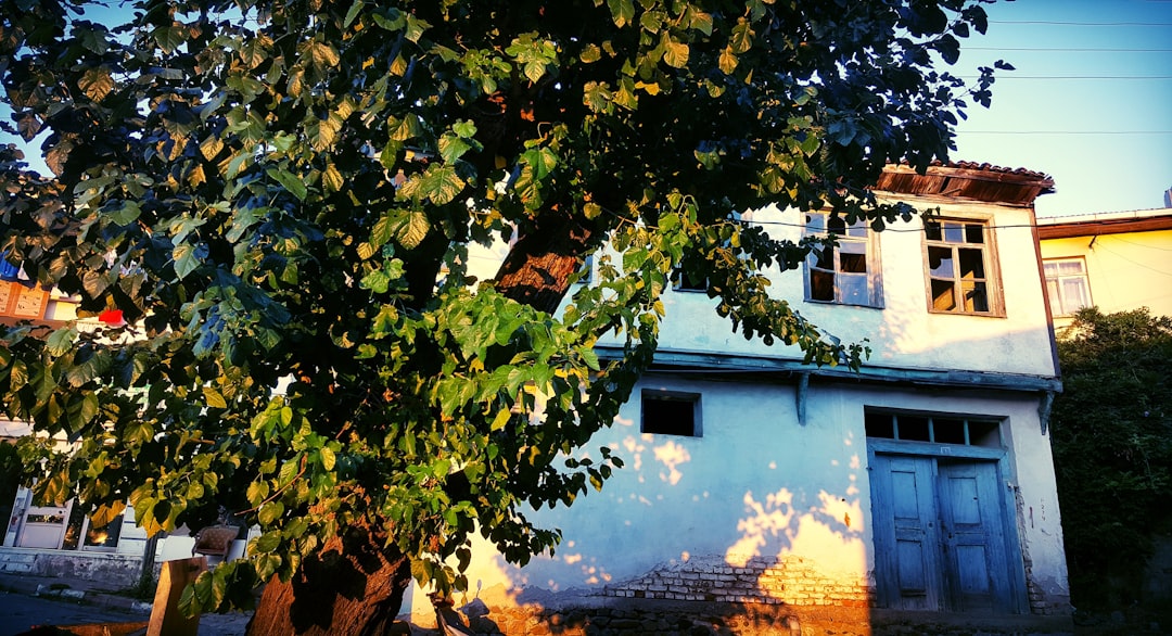 Terraqua
