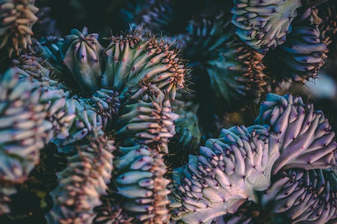 green and brown plant in close up photography