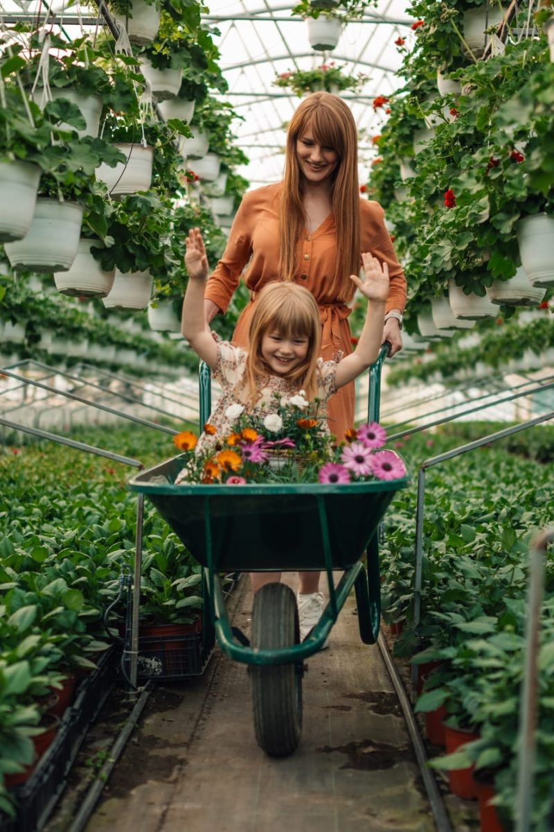 Mom and daughter florists having fun with wheelbarrow at hothouse.